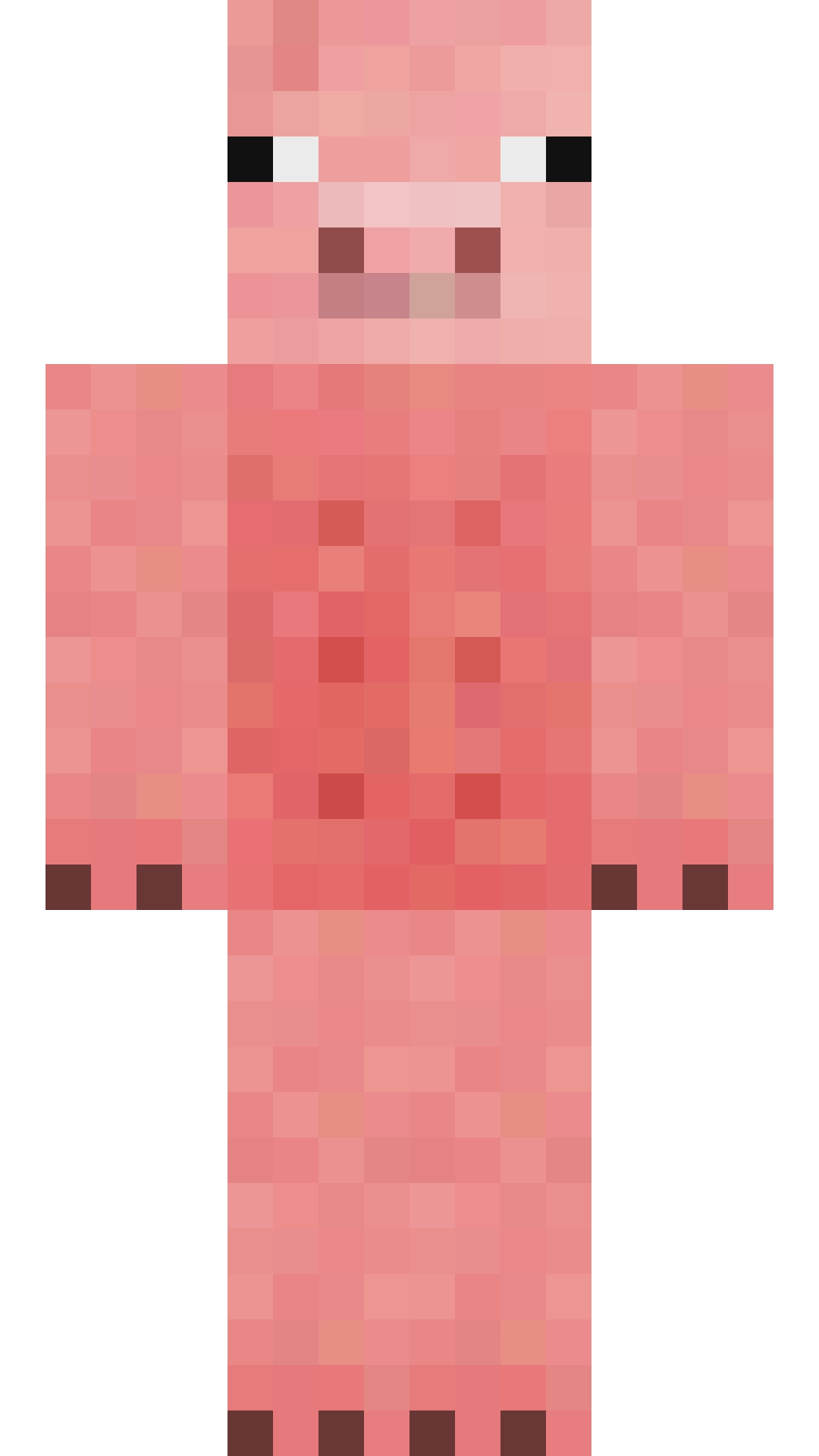 .Player95094955のMinecraftスキン